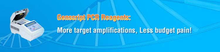 pcr reagents pcr reagents