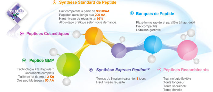 custom peptide synthesis service