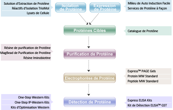 guide de sélection des produits protéiques