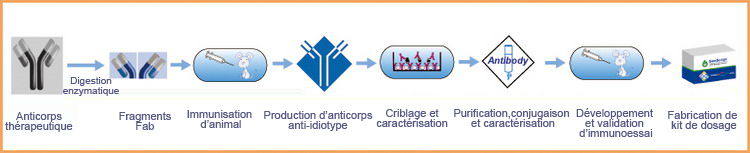 Services de Développement d'Immunoessai pour la Détection d’Anticorps Thérapeutique
