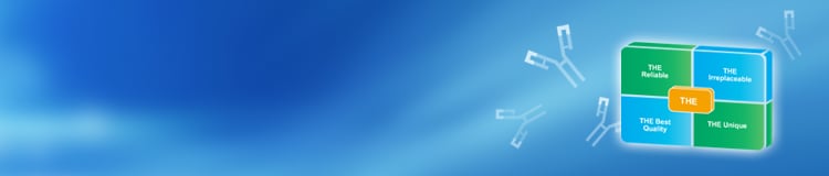 THE™ Elite Antibody THE™ Elite Antibody