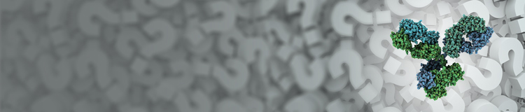 Antibody Service Selection Tool Antibody Service Selection Tool