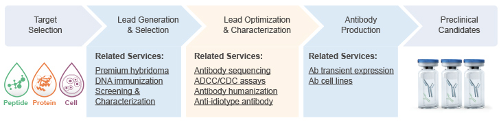 Therapeutic Antibody Discovery Services