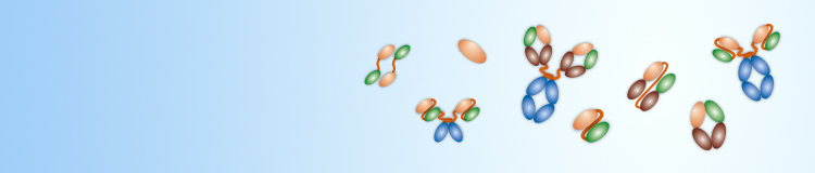 Antibody Formats