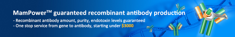 MamPower™ guaranteed recombinant antibody production