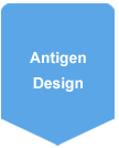 Antigen Design for Polyclonal Antibody Production