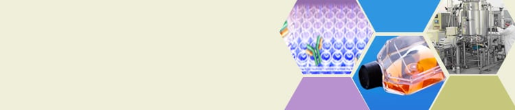 Mammalian Expression services