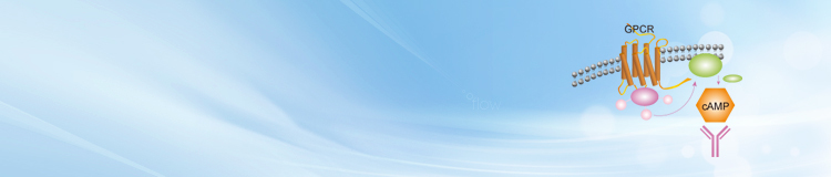cAMP Antibody, cGMP Antibody cAMP Antibody, cGMP Antibody