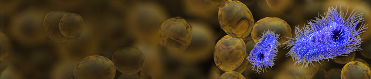 CRISPR microbe recombineering service