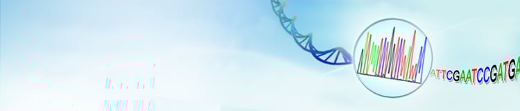 dna sequencing service dna sequencing service