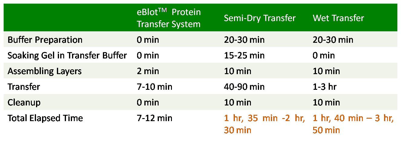 eblot system