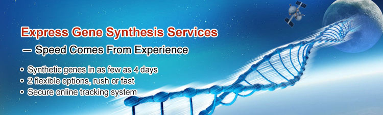 Express Gene Synthesis