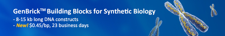 Gene-Brick Synthesis Service