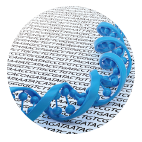 GenPlus™ High-Throughput Gene Synthesis GenPlus™ High-Throughput Gene Synthesis