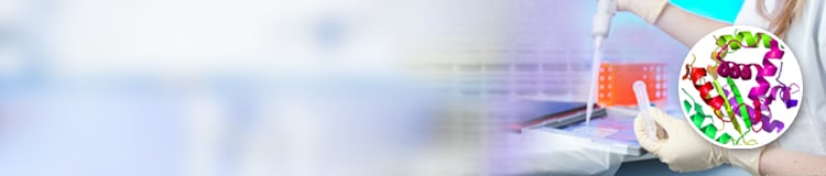 Improving recombinant protein solubility using the MBP tag