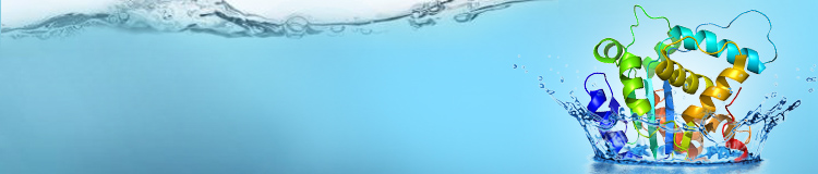 MamPower™ – guaranteed mammalian protein expression
