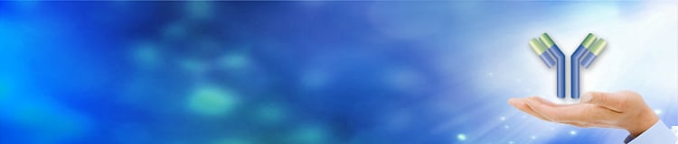 Monoclonal antibody production services