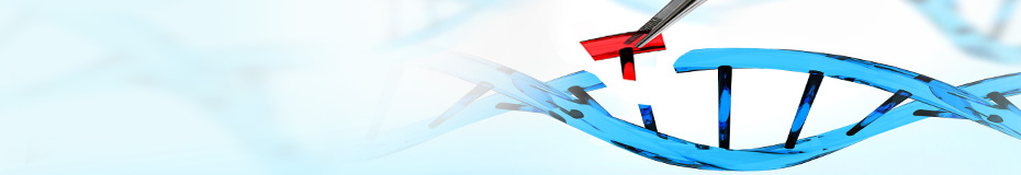 Express Mutagenesis service from GenScript - $99/mutation for site-directed mutagenesis Express Mutagenesis service from GenScript - $99/mutation for site-directed mutagenesis
