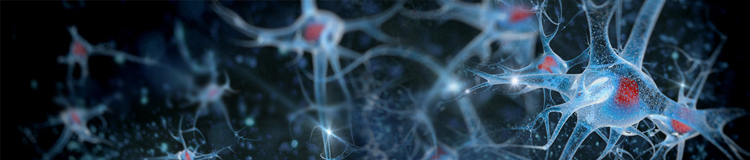 Neuroscience Research Applications for Gene Synthesis Neuroscience Research Applications for Gene Synthesis