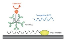 peg antibody mab mouse