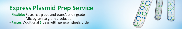 plasmid DNA preparation plasmid DNA preparation