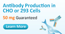 MamPower? Guaranteed Antibody Services