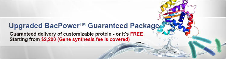 protein promotion