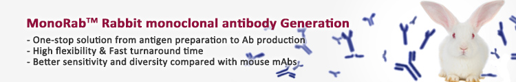 MonoRab™ Rabbit monoclonal antibody generation Services