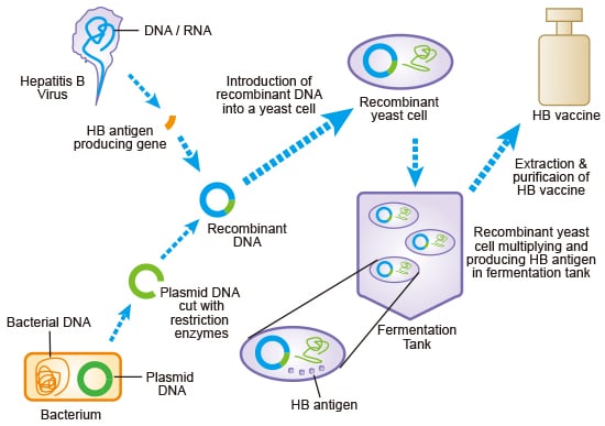 Recombinant Vaccine