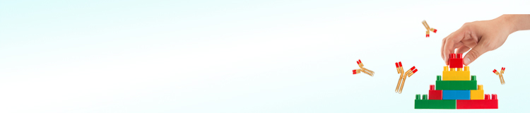 Semi-custom Monoclonal Antibody Production Services