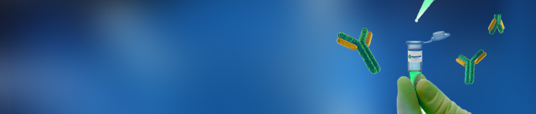 specialized antibody services specialized antibody services