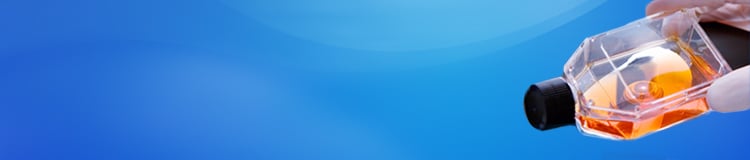 Stable transfection & cell line development services Stable transfection & cell line development services