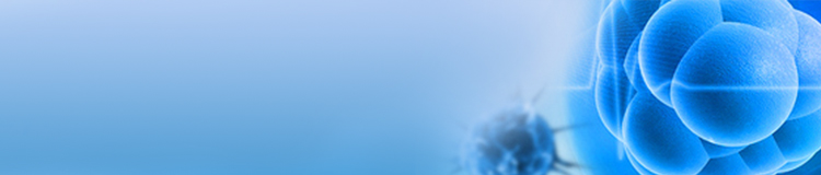 Human Hematopoietic Stem Cell Expansion Human Hematopoietic Stem Cell Expansion