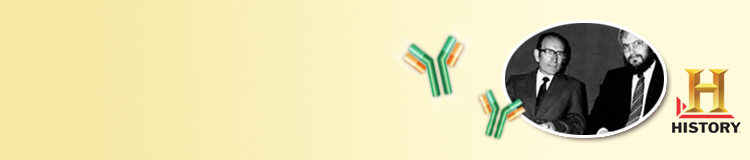 The History of Antibodies