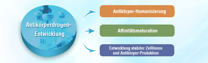 Antikörperdrogen-Entwicklungs-Center Antikörperdrogen-Entwicklungs-Center