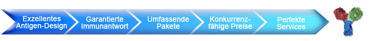 Kundenspezifische Antikörpe-Services