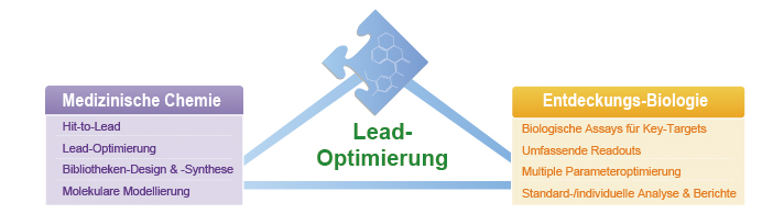 Lead-Optimierung-Dienstleistungen