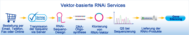 Ablauf der RNAi-Services