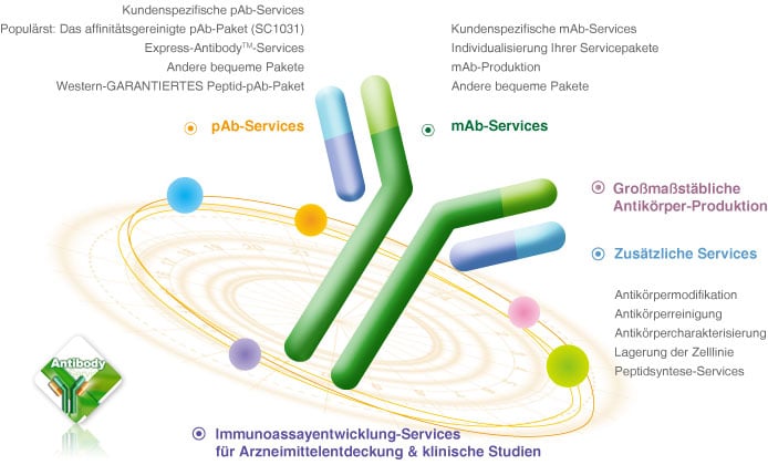 Antikörper-Services