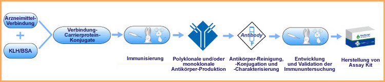 Immunoassay-Entwicklung-Service für Arzneimittel-Verbindung-Entdeckung