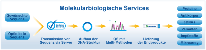 Molekularbiologische Services