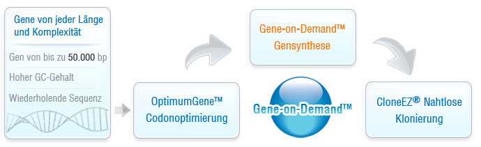 Gensynthese-Service