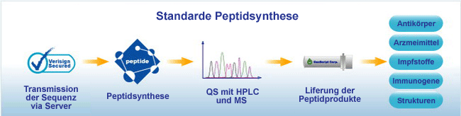 Ablauf der chemischen Peptidsynthese