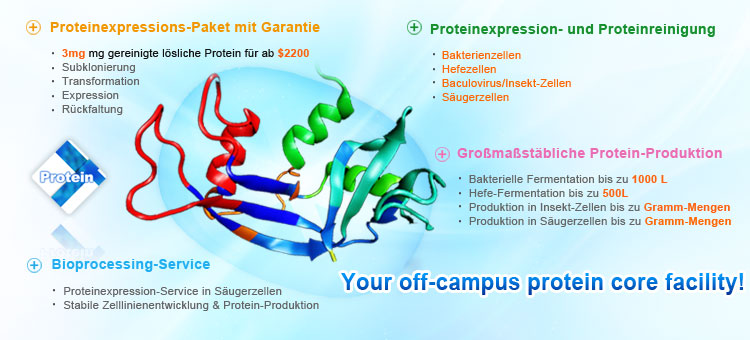 Rekombinante Proteinexpression and Proteinreinigung