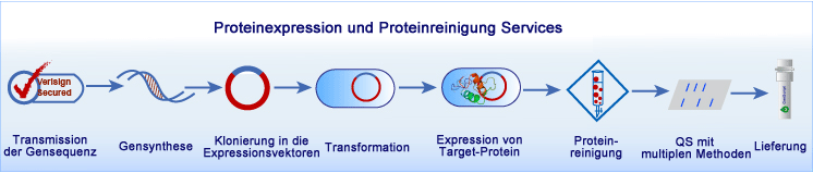 protein services