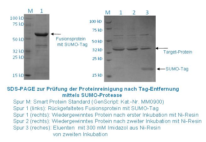 Tag-Entfernung
