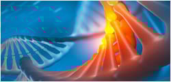 Image 43: DNA Mutant Library
