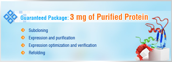 Bacterial Protein Expression Guaranteed Package
