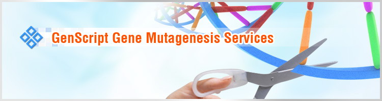Site-directed mutagenesis service