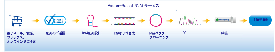 RNAi pipeline